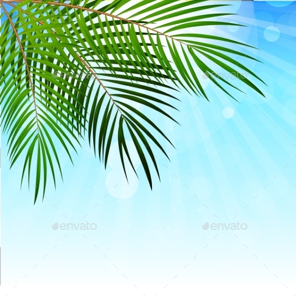 Palm Leaf Background Illustration - Backgrounds Decorative