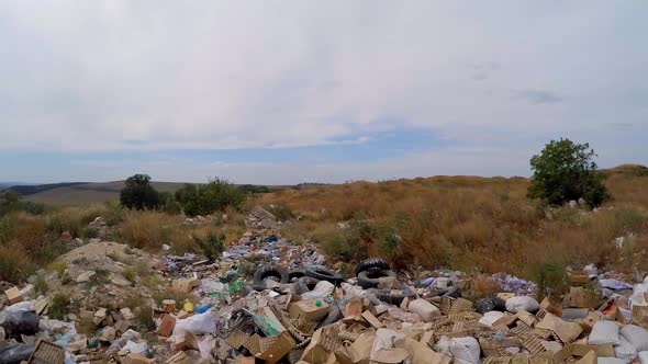 Garbage Dump in Overgrown Bushes