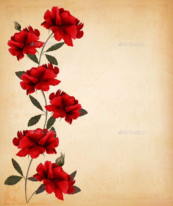 Red Roses On Old Paper Background Vector - Flowers & Plants Nature
