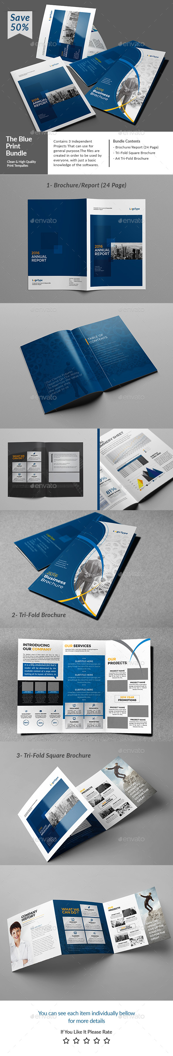 The Blue Bundle - Corporate Brochures