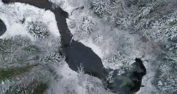 River Beginning From Water Springs in Snowy Winter Forest Aerial View alt