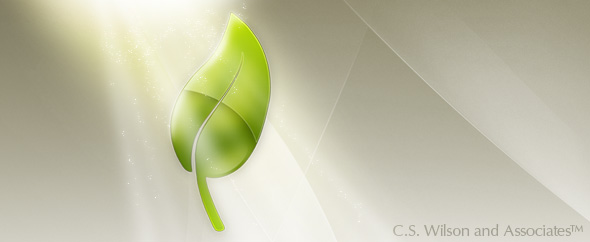 Envato profile 590x242