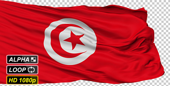 Isolated Waving National Flag of Tunisia