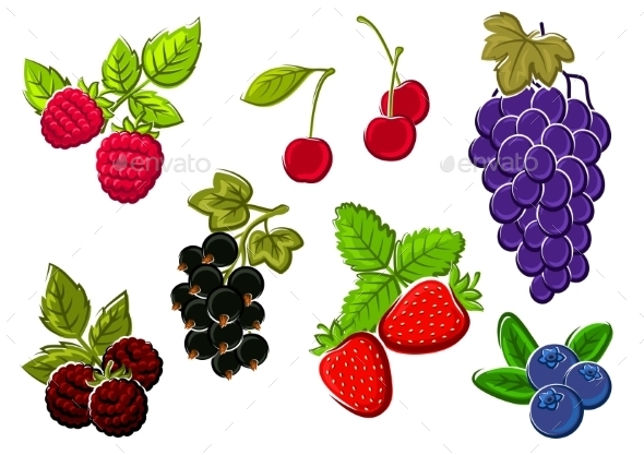 Isolated Garden And Wild Berries Fruits - Food Objects