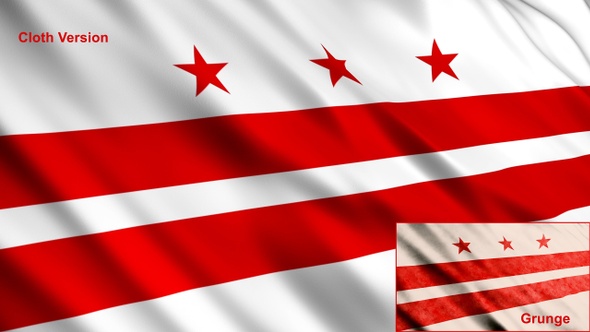 Washington Dc Flags alt