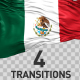 Mexico Flag Transitions - VideoHive Item for Sale
