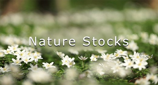 Nature Stocks