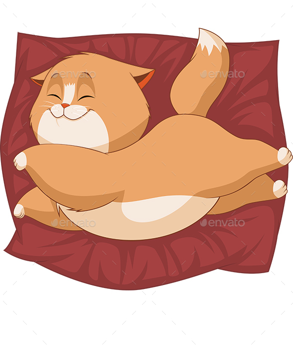 Kitten - Animals Characters