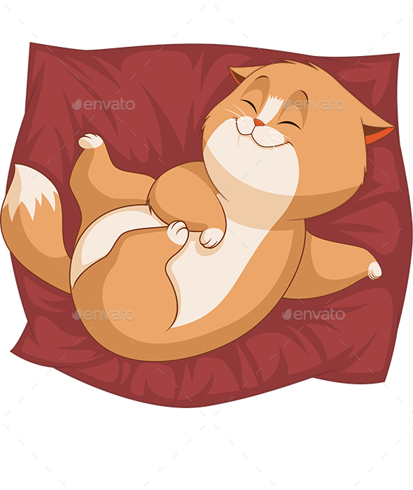 Kitten - Animals Characters