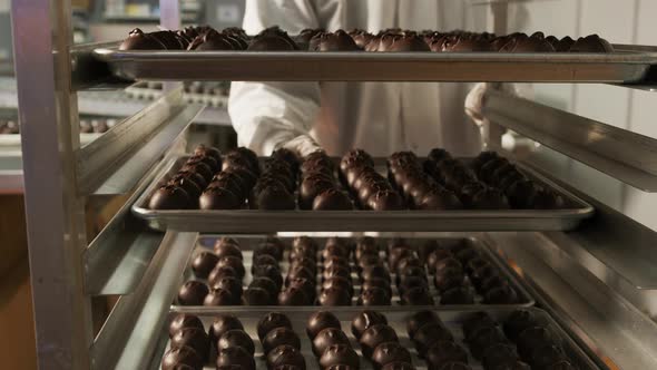 Chocolate truffles sorted onto trays at candy factory