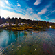 Seagulls Flying Over the Lake - VideoHive Item for Sale
