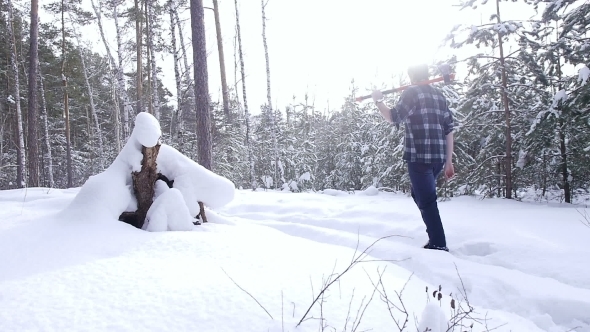 Lumberjack Chopping Ax To Cut Firewood In The Winter Forest