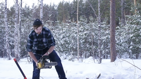 Lumberjack Chainsaw Manual Sawing Wood In The Winter Snowy Forest