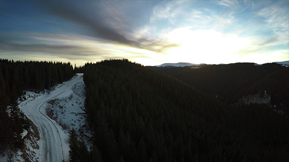 Flying Over the Spectacular Forest alt