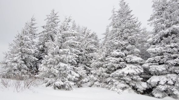 Winter Smow, Stock Footage | VideoHive