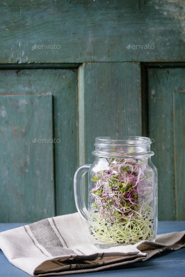 Fresh Sprouts in mason jar - Stock Photo - Images