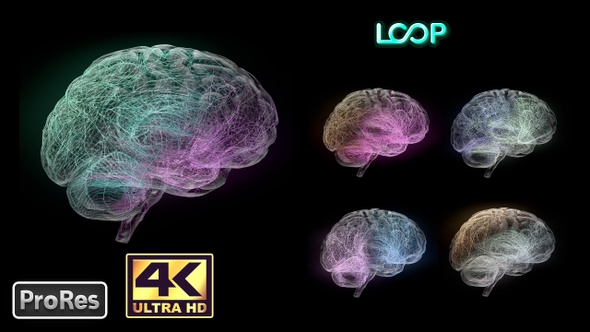 Brain Neuronal Activity - Side - 4K