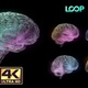 Brain Neuronal Activity - Side - 4K - VideoHive Item for Sale