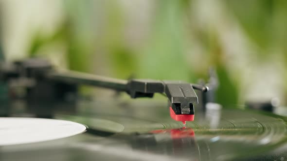 Vinyl Disk Closeup alt