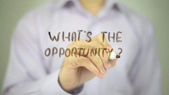 What's The Opportunity ? alt