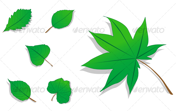Set of leaves icons - Decorative Vectors