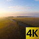 Gorgeous Summer Morning Fog 4K - VideoHive Item for Sale