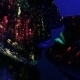 Erotic Couple From Ultraviolet Light Kiss Each Other - VideoHive Item for Sale