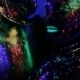 Sexual People Body Under Ultraviolet Light - VideoHive Item for Sale