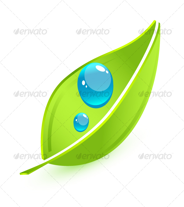 Vector leaf - Nature Conceptual
