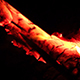 Hot Coals in Bonfire - VideoHive Item for Sale