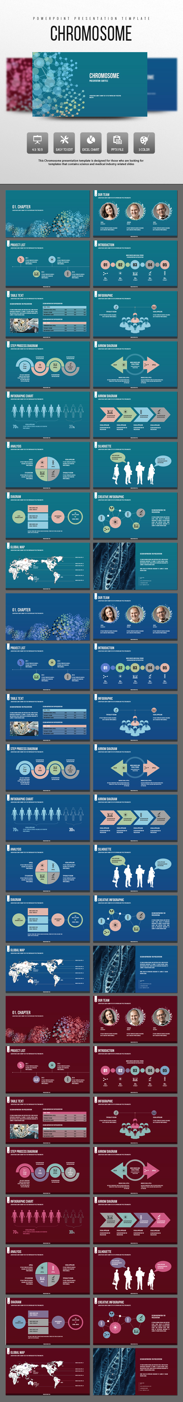 Chromosome - PowerPoint Templates Presentation Templates