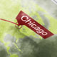 Flight Over The Map - VideoHive Item for Sale