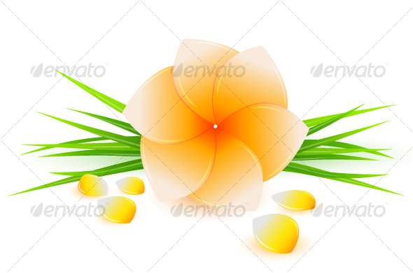 Spa flower - Flowers & Plants Nature
