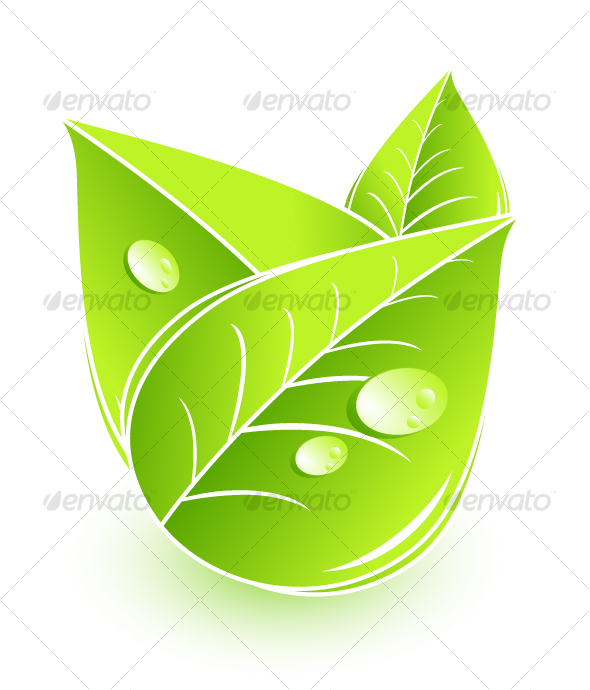 Leaves composition - Nature Conceptual