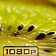 Kiwi Fruit Kiwi Fruit - VideoHive Item for Sale