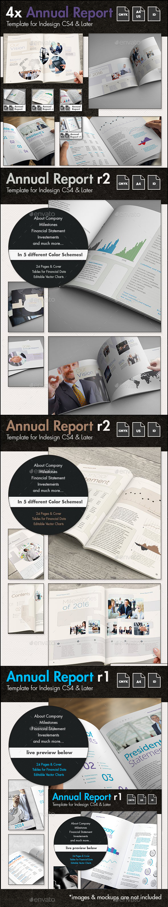 Annual Report Template Bundle - Informational Brochures