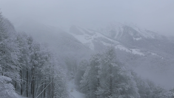 Beautiful Snow Covered Trees In Mountains alt