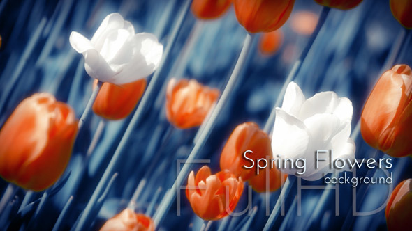 Spring Flowers Garden alt