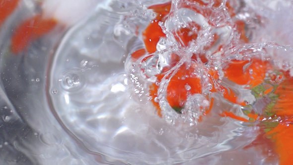 Tomatoes Falling In Water