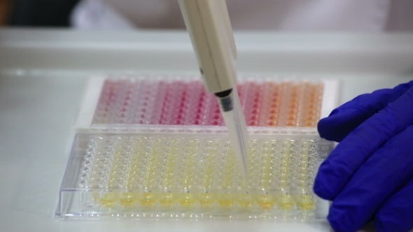 ELISA Antibody Selection.  alt