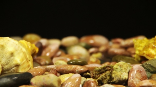 Sea Pebbles And Seashells Rotate alt