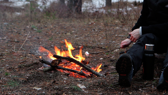 Two Friends Are Preparing a Marshmallow Orer a Campfire alt