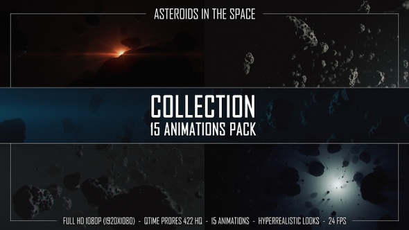 Asteroids In The Space