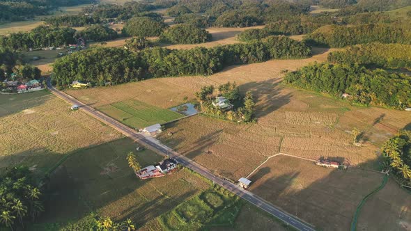 Farm Cottage at Rice Paddy Terrace Field Aerial alt
