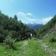Cow In Mountains Summer - VideoHive Item for Sale