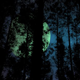 Slow Camera Drive Through Forest at Night with Big Moon and Magic Stars - VideoHive Item for Sale