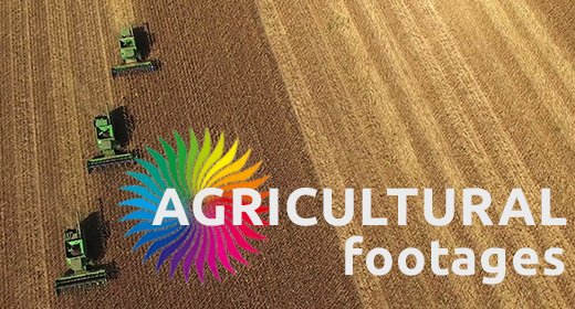 AGRICULTURAL footages