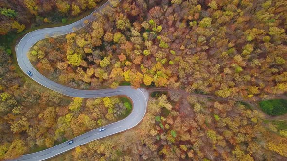 Drone Point of View Curvy Road in Autumn Wood
