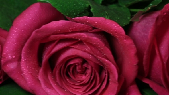 Romantic Gift Gold Ring With Pink Roses alt