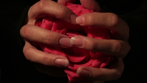Female Hands Tearing Red Rose On The Side alt